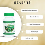 Sona Punarnava Capsules - 60 Capsules (Pack of 1)