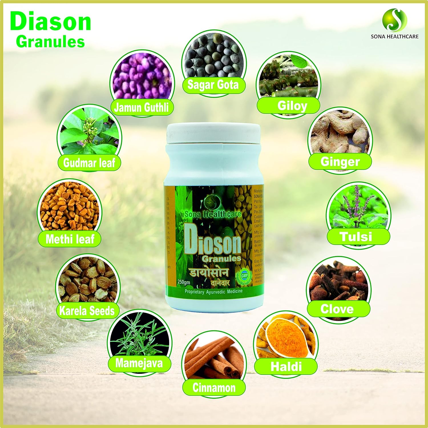 Sona Pure & Natural Dioson Garnules for Diabetes - 250g (Pack of 1)