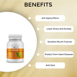 Sona Tulsi for Respiratory Wellness - 60 Tablets