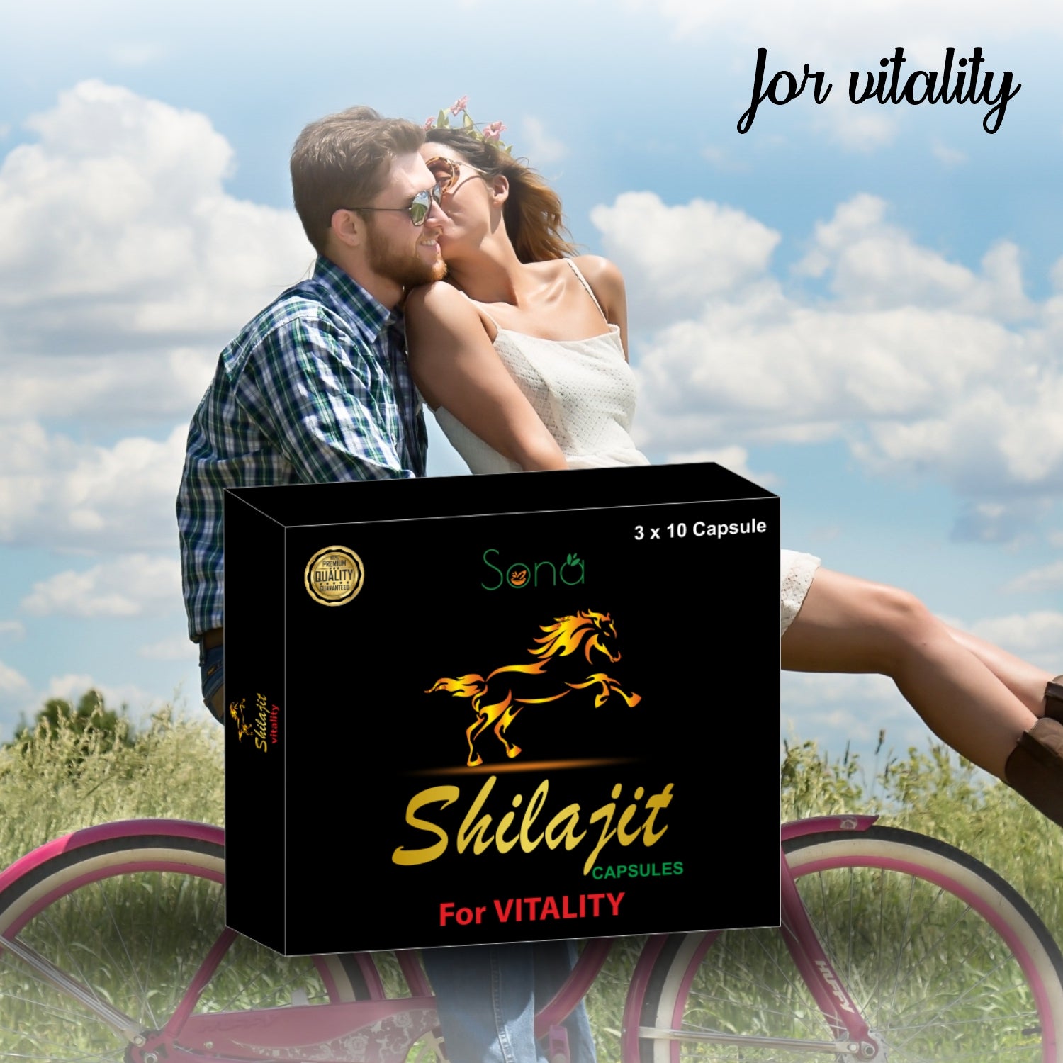 Sona Shilajit Capsule with Blister Packing - Pack of 1 (10 x 3 = 30 Capsules)