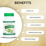 Sona Garcinia Cambogia – Fat to Fit - 60 Capsules (Pack of 2)