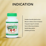 Sona Prostasin Capsules for Prostate Problem - 60 Capsules (Pack of 1)