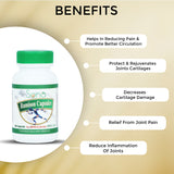 Rumison capsules for Arthritis & Joint pain - 60 Capsules (Pack of 1)