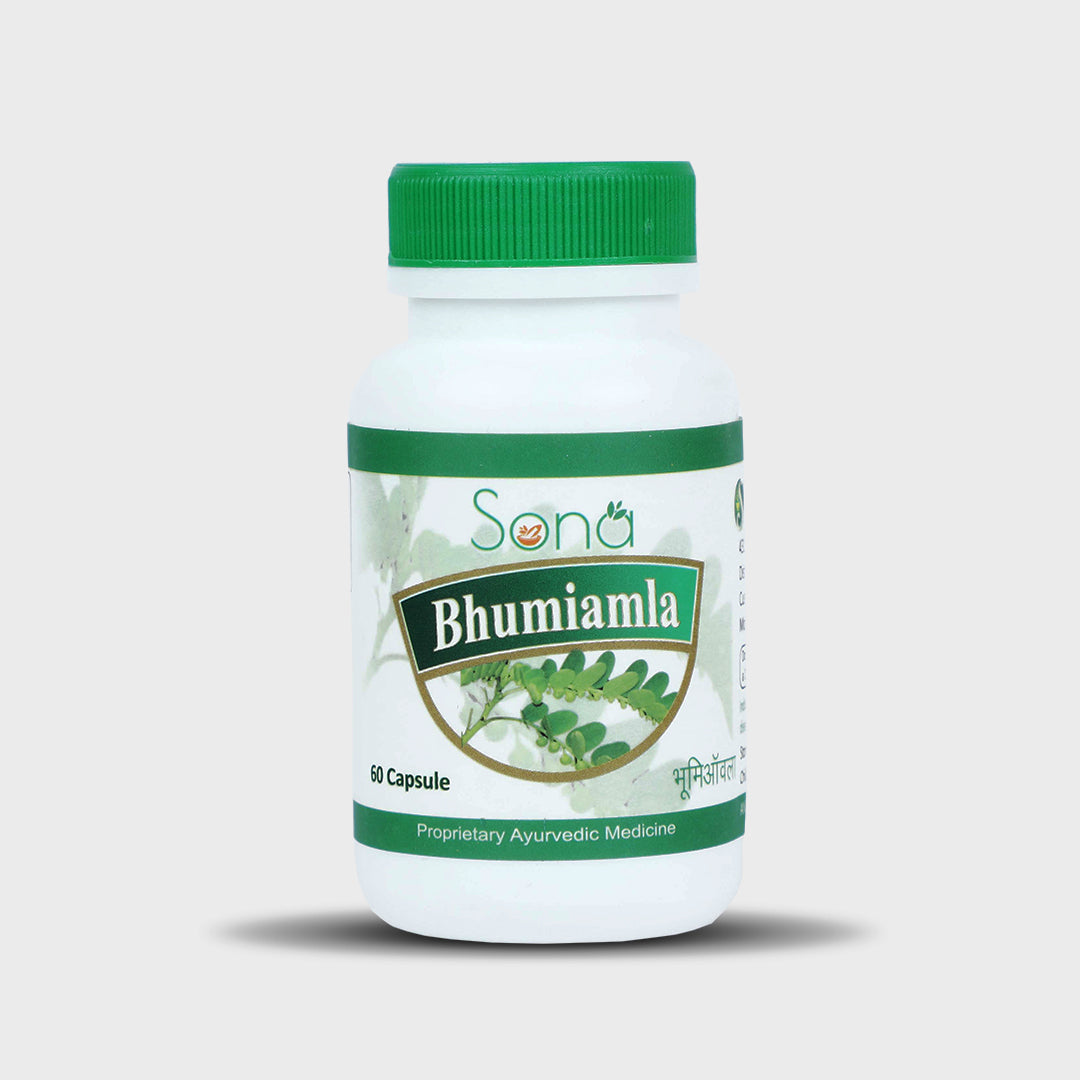Sona Bhumi Amla Capsules supports Liver - 60 Capsules (Pack of 1)