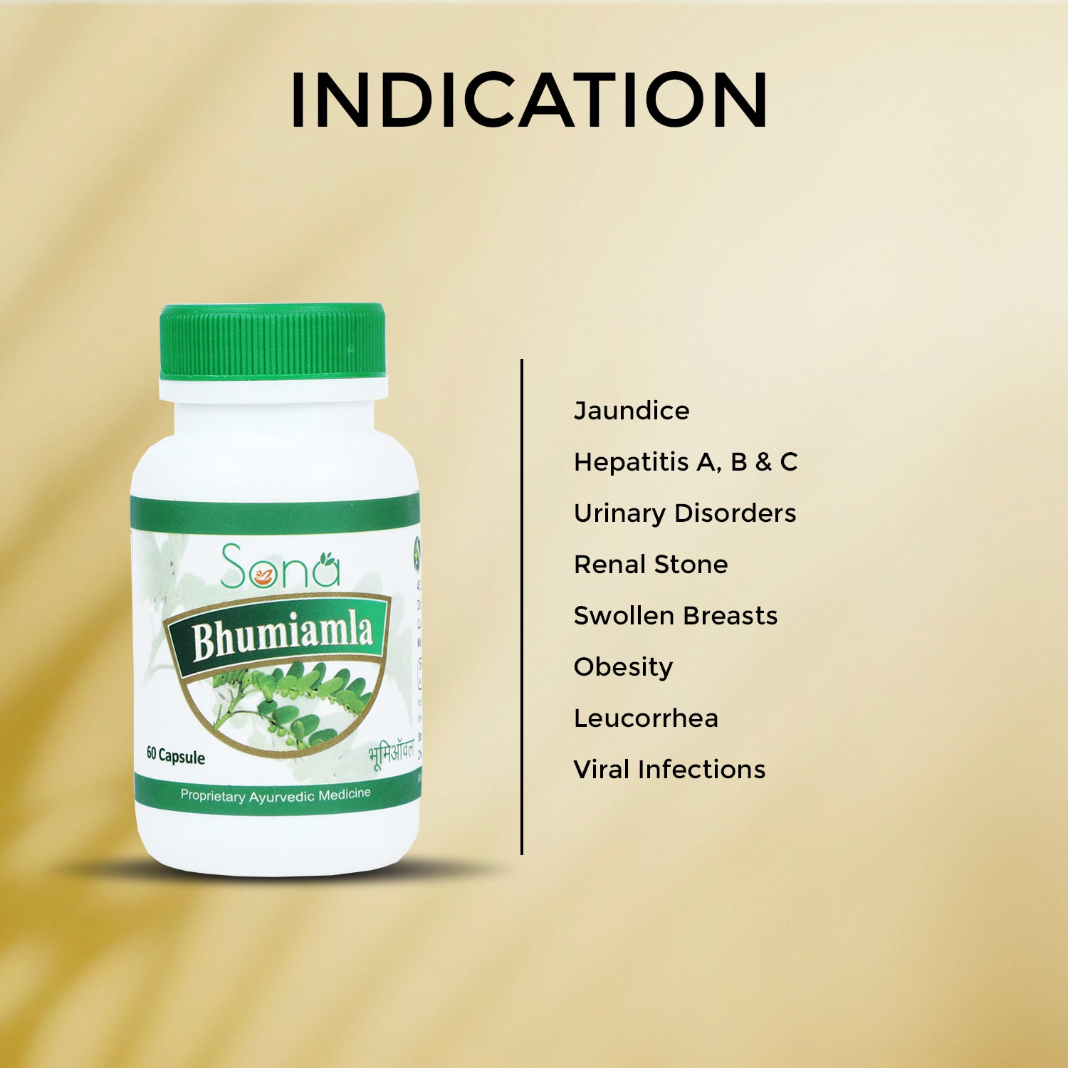 Sona Bhumi Amla Capsules supports Liver - 60 Capsules (Pack of 1)