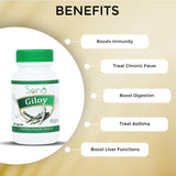 Sona Giloy Capsules - 60 Capsules (Pack of 3)