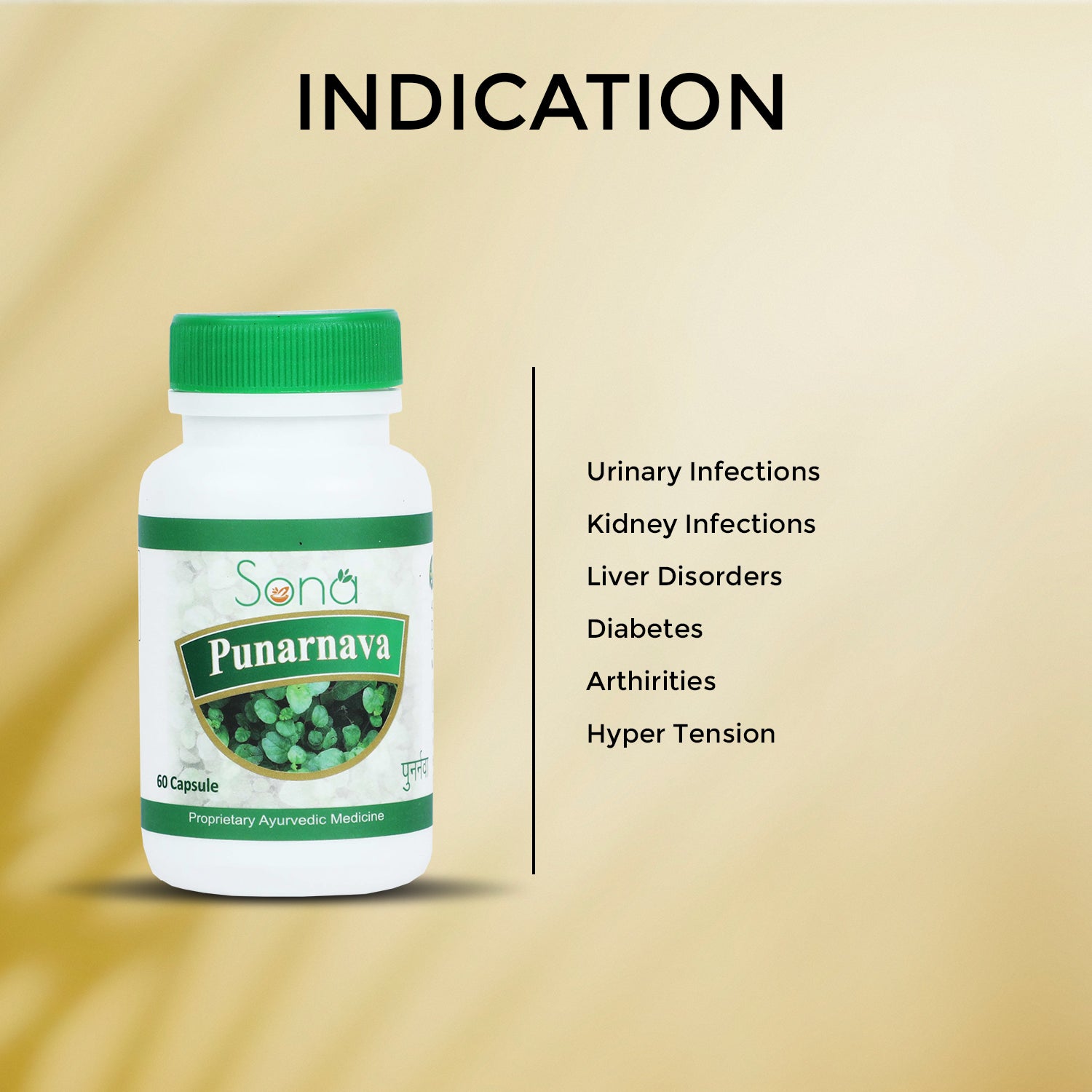 Sona Punarnava Capsules - 60 Capsules (Pack of 1)