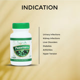 Sona Punarnava Capsules - 60 Capsules (Pack of 1)
