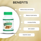 Sona Shatavari Capsules - 60 Capsules (Pack of 1)
