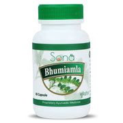 Sona Bhumi Amla Capsules supports Liver - 60 Capsules (Pack of 1)
