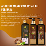 Moroccan Argan  Hair Combo