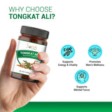 Tongkat Ali Capsule for Daily Energy, Endurance & Active Lifestyle Support - 60 capsule