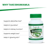 Sona Bhumi Amla Capsules supports Liver - 60 Capsules (Pack of 1)