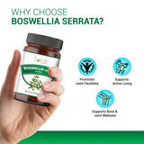 Boswellia Serrata Shallaki Capsule for Supports Joint Health & Mobility - 60 Capsule