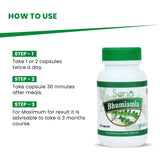 Sona Bhumi Amla Capsules supports Liver - 60 Capsules (Pack of 1)