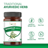 Boswellia Serrata Shallaki Capsule for Supports Joint Health & Mobility - 60 Capsule