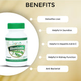 Sona Bhumi Amla Capsules supports Liver -60 Capsule (Pack of 1)